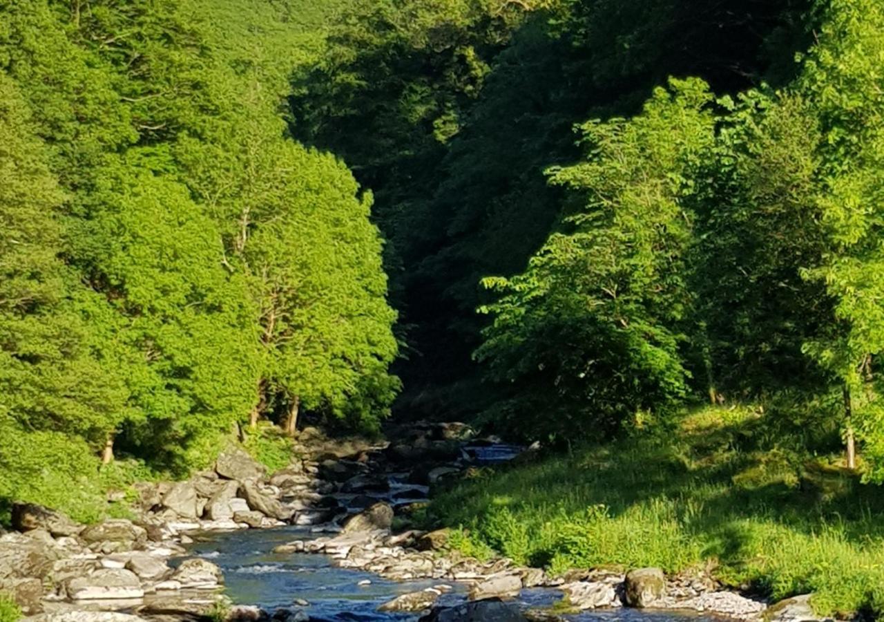 River Cottage Линмут Экстерьер фото